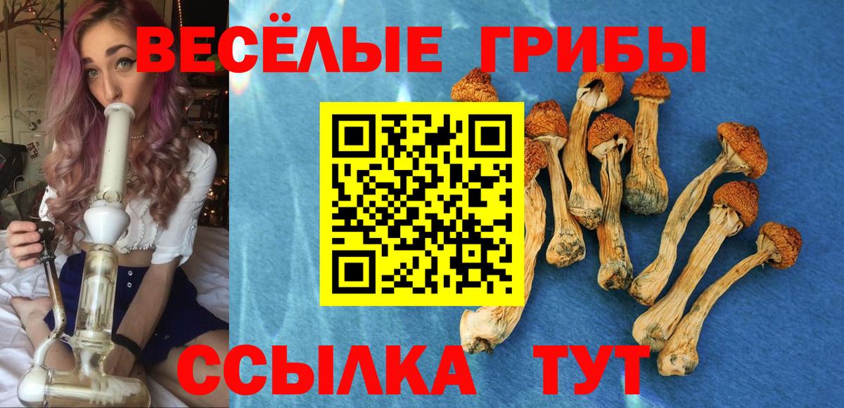 Галлюциногенные грибы GOLDEN TEACHER Сафоново