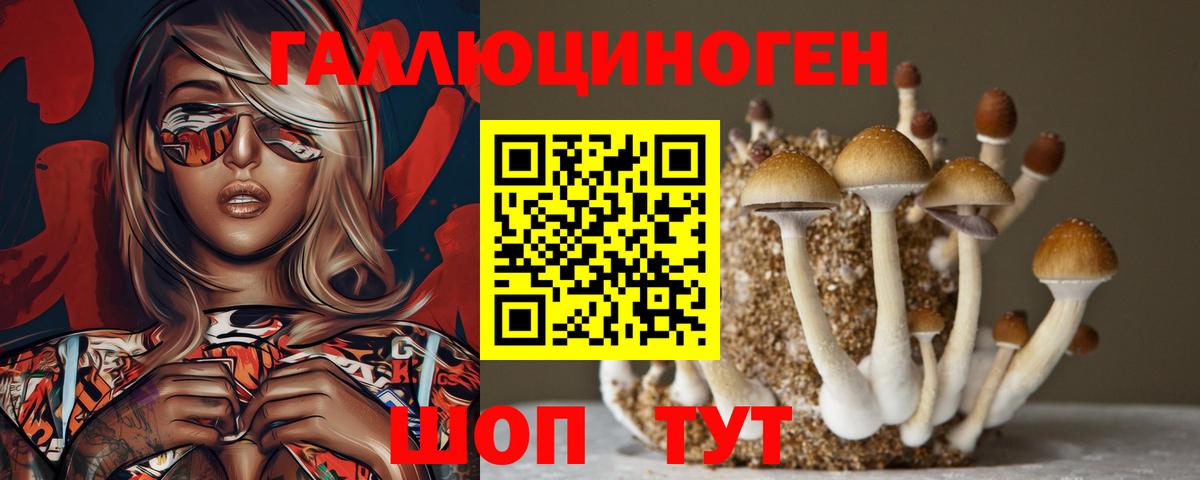Сафоново  Галлюциногенные грибы прущие грибы  Вход с VPN  Псилоцибиновые грибы Psilocybe 